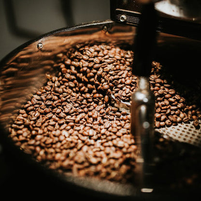 Uganda / Organic / Vermeer / Single Origin