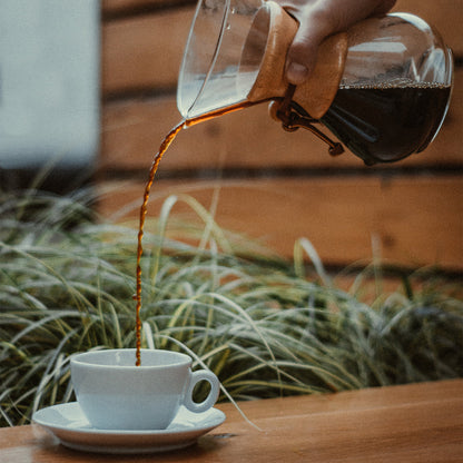 Mocha / Flavored Coffee / Amedeo Modigliani